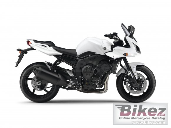 2010 Yamaha FZ1 Fazer photo